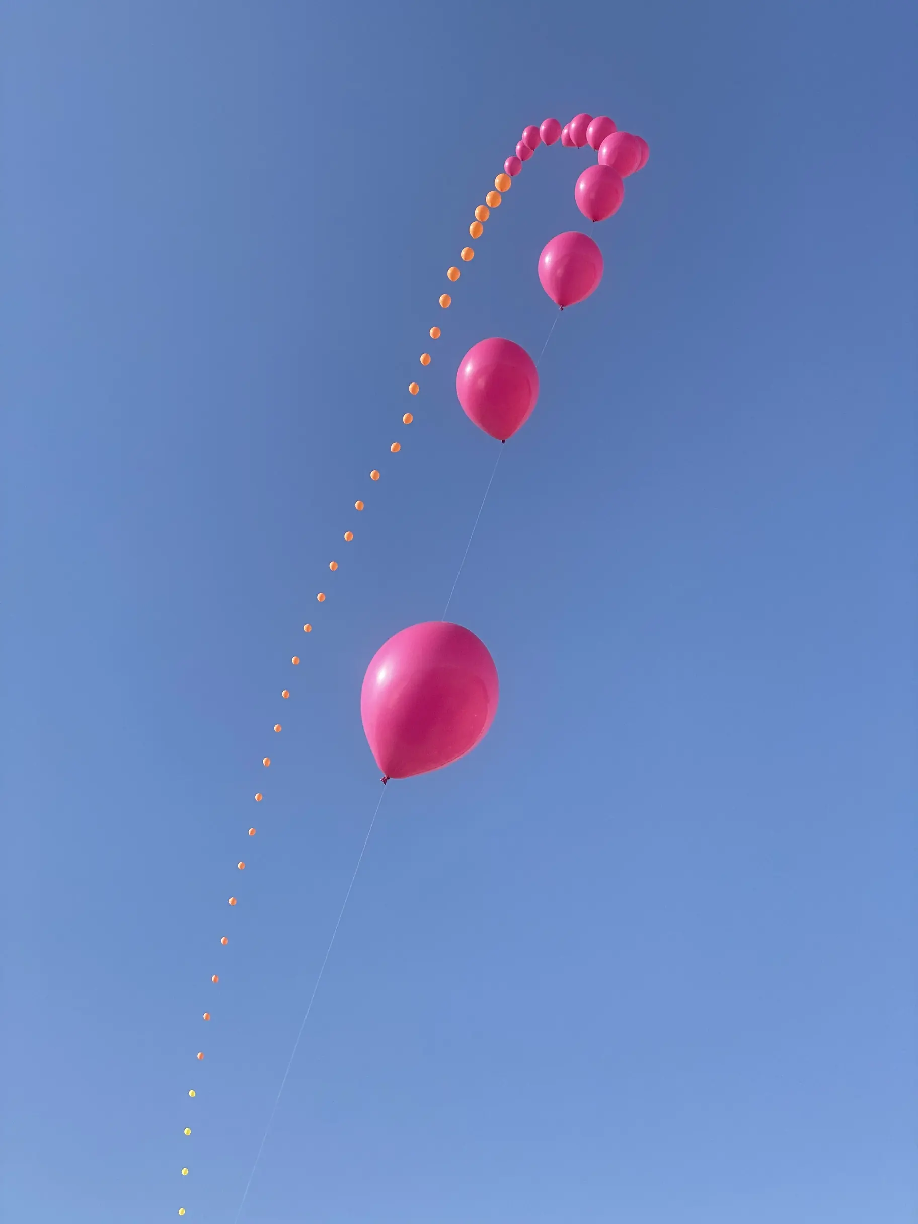 The Balloon Chain: pink balloons on a chain against a blue sky